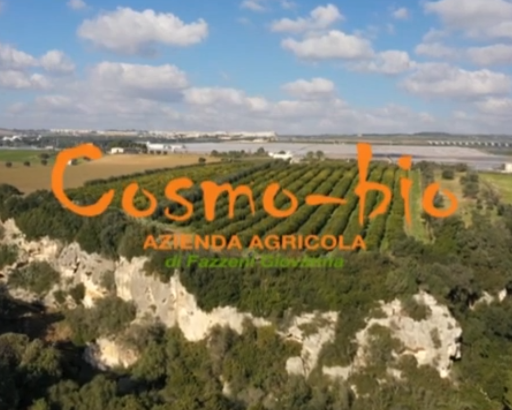 Video presentazione azienda - Cosmo Bio